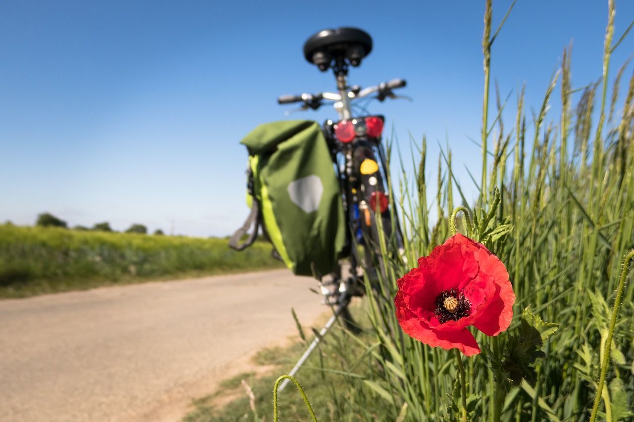 Sacoche vélo : laquelle choisir pour faire du cyclotourisme ?
