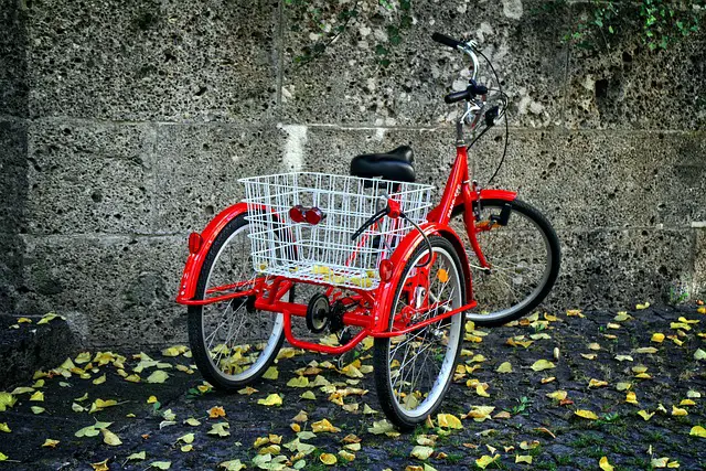 Tricycle, Triporteur comment bien le choisir