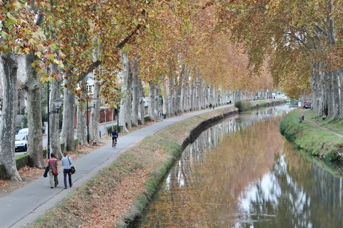 Canal du Midi à Toulouse